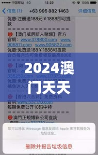 2024澳门天天开好彩大全免费,安全策略评估方案_实现版PLA795.39