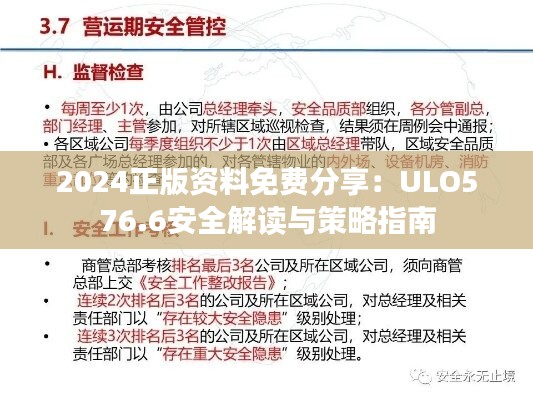 2024正版资料免费分享：ULO576.6安全解读与策略指南