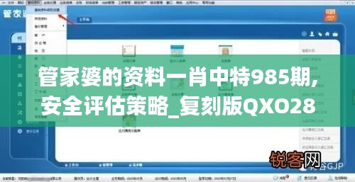 管家婆的资料一肖中特985期,安全评估策略_复刻版QXO289.85