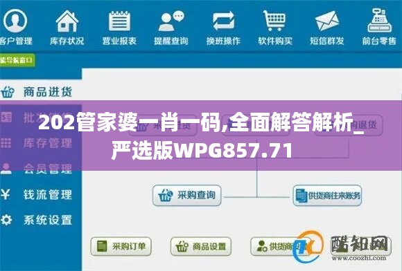 202管家婆一肖一码,全面解答解析_严选版WPG857.71