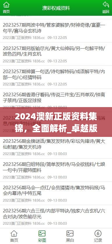 2024澳新正版资料集锦，全面解析_卓越版OAW216.84