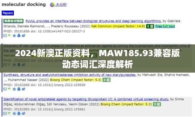 2024新澳正版资料，MAW185.93兼容版动态词汇深度解析