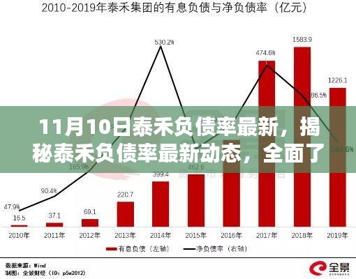 揭秘泰禾最新负债率动态（最新更新，全面解析泰禾财务状况）