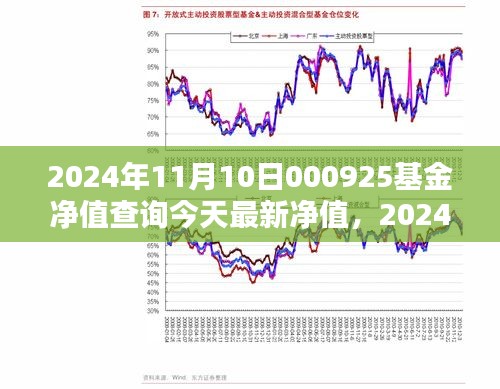 2024年11月10日000925基金净值查询与深度解析