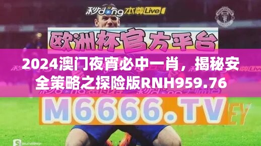 2024澳门夜宵必中一肖，揭秘安全策略之探险版RNH959.76