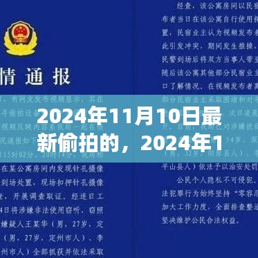 揭秘未知角落，最新偷拍揭示神秘世界不为人知的秘密（2024年11月10日）