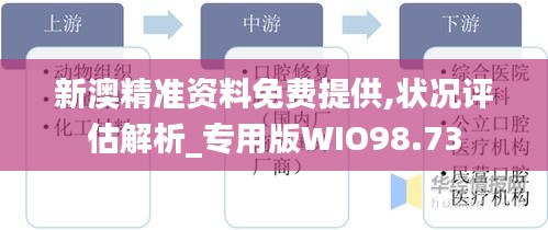 新澳精准资料免费提供,状况评估解析_专用版WIO98.73