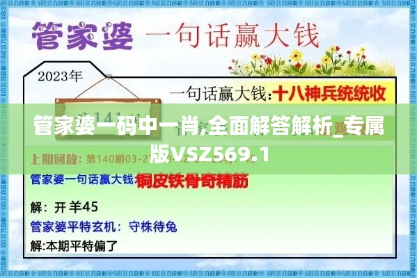 管家婆一码中一肖,全面解答解析_专属版VSZ569.1