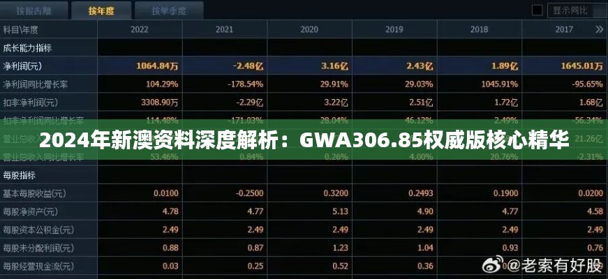 2024年新澳资料深度解析：GWA306.85权威版核心精华