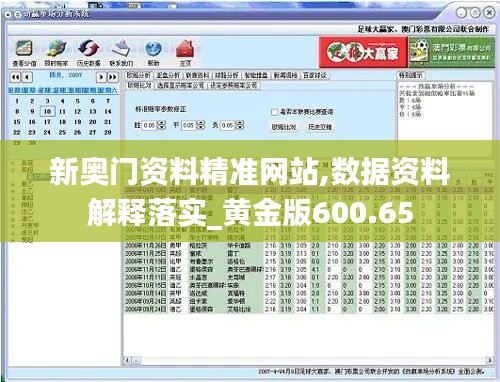 新奥门资料精准网站,数据资料解释落实_黄金版600.65