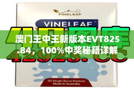 澳门王中王新版本EVT825.84，100%中奖秘籍详解