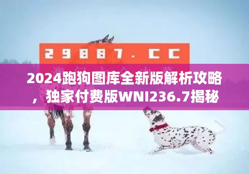 2024跑狗图库全新版解析攻略，独家付费版WNI236.7揭秘