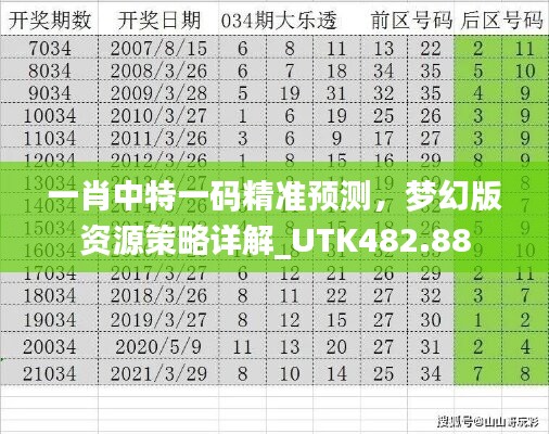 一肖中特一码精准预测，梦幻版资源策略详解_UTK482.88