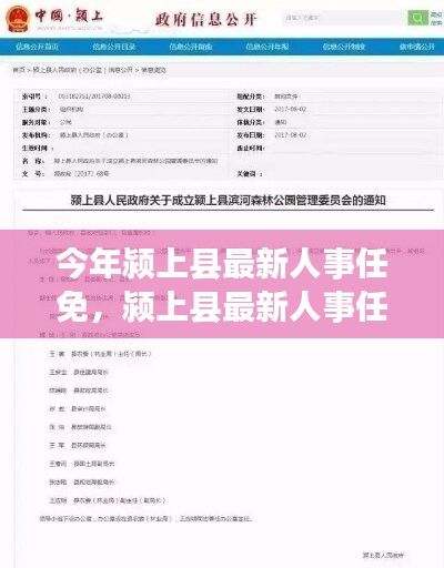 颍上县最新人事任免详解，特性、体验、对比及用户群体分析评测