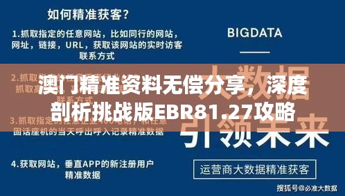 澳门精准资料无偿分享，深度剖析挑战版EBR81.27攻略