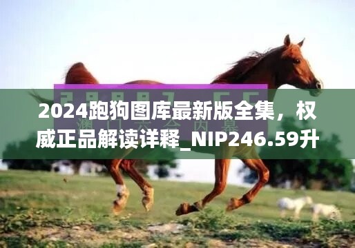 2024跑狗图库最新版全集，权威正品解读详释_NIP246.59升级版