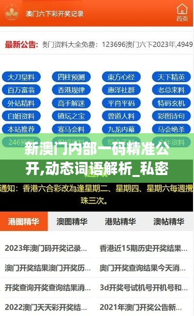 新澳门内部一码精准公开,动态词语解析_私密版ITF831.32