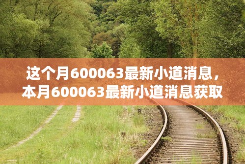 本月最新小道消息揭秘，关于600063的获取与解析步骤指南