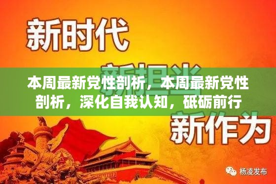 深化自我认知，最新党性剖析引领前行之路