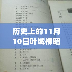 叶城柳昭晴小说免费阅读最新章节指南，历史日期与详细步骤