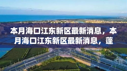 海口江东新区本月最新动态，蓬勃发展中的新篇章