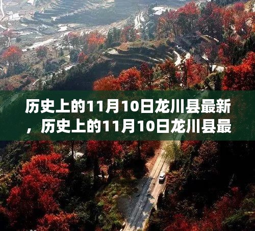 历史上的11月10日龙川县最新评析，深度探索产品特性、使用体验与目标用户