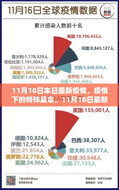 11月10日最新疫情回顾，特殊篇章下的影响与观察