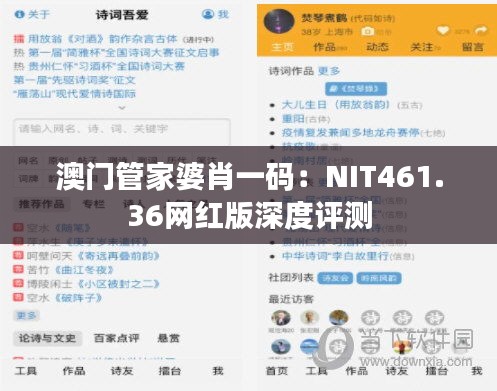 澳门管家婆肖一码：NIT461.36网红版深度评测