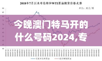 今晚澳门特马开的什么号码2024,专业执行问题_传统版HGT240.56