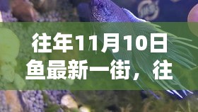 往年11月10日鱼最新一街，一网打尽鱼市动态与街头潮流资讯