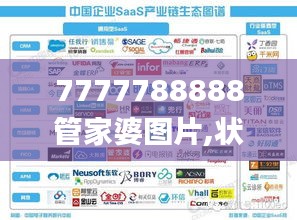 7777788888管家婆图片,状况评估解析_明星版SJL456.1