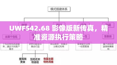 UWF542.68 影像版新传真，精准资源执行策略