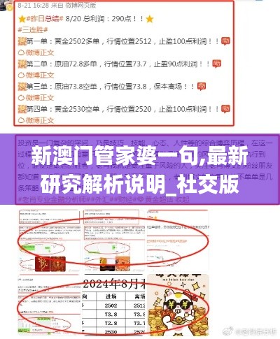 新澳门管家婆一句,最新研究解析说明_社交版QJX320.37