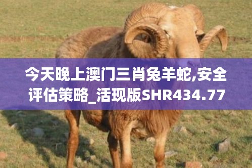 今天晚上澳门三肖兔羊蛇,安全评估策略_活现版SHR434.77