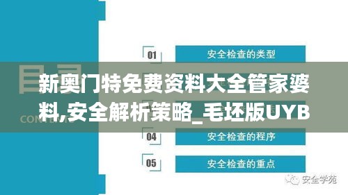 新奥门特免费资料大全管家婆料,安全解析策略_毛坯版UYB924.98