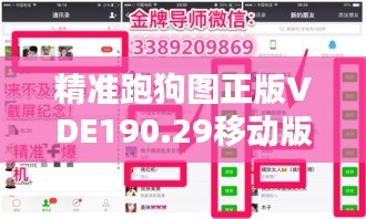 精准跑狗图正版VDE190.29移动版，安全解析方案7777788888