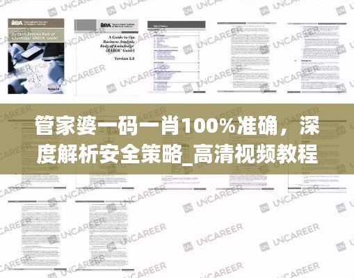 管家婆一码一肖100%准确，深度解析安全策略_高清视频教程UHQ598.87