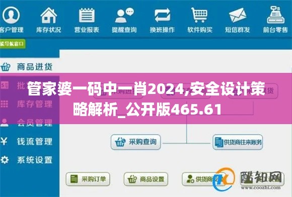 管家婆一码中一肖2024,安全设计策略解析_公开版465.61