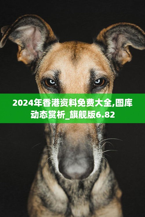 2024年香港资料免费大全,图库动态赏析_旗舰版6.82