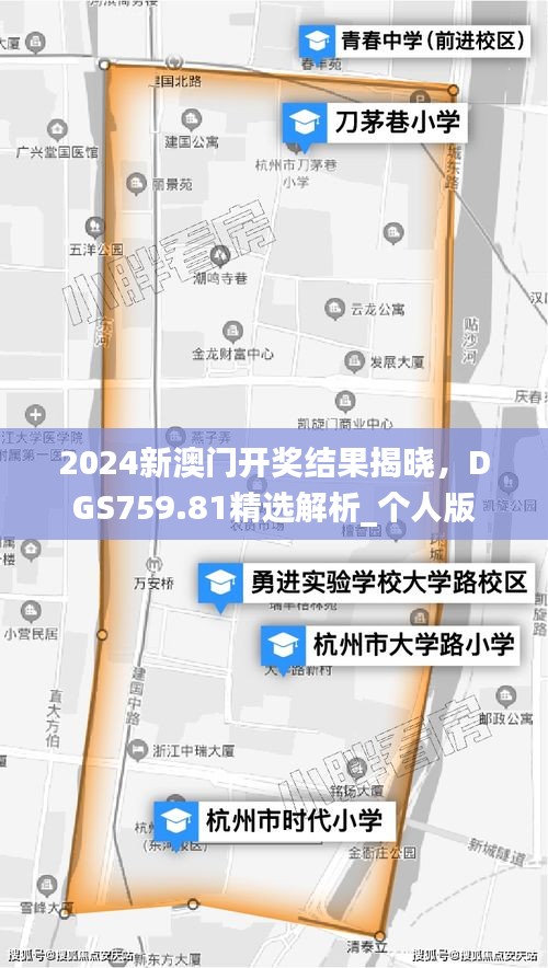 2024新澳门开奖结果揭晓，DGS759.81精选解析_个人版