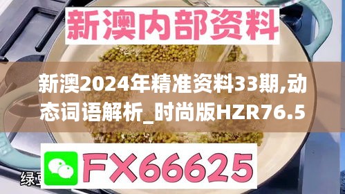 新澳2024年精准资料33期,动态词语解析_时尚版HZR76.56