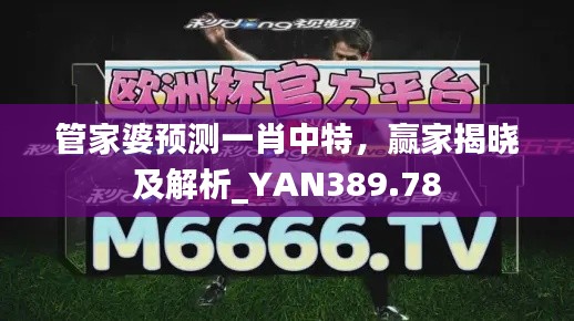 管家婆预测一肖中特，赢家揭晓及解析_YAN389.78