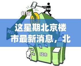 北京楼市本周动态解析，热议话题多元视角聚焦最新消息与动态分析