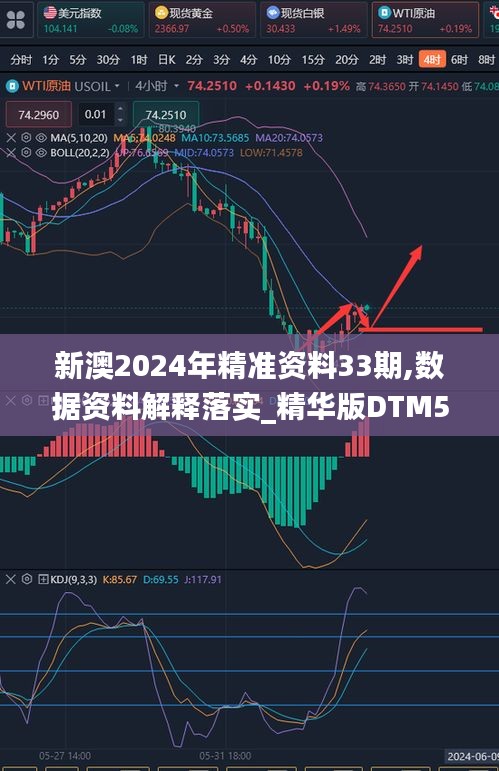 新澳2024年精准资料33期,数据资料解释落实_精华版DTM524.77