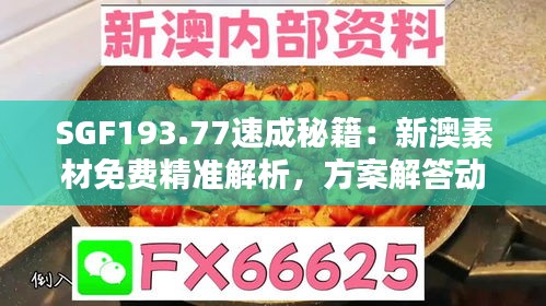 SGF193.77速成秘籍：新澳素材免费精准解析，方案解答动态更新