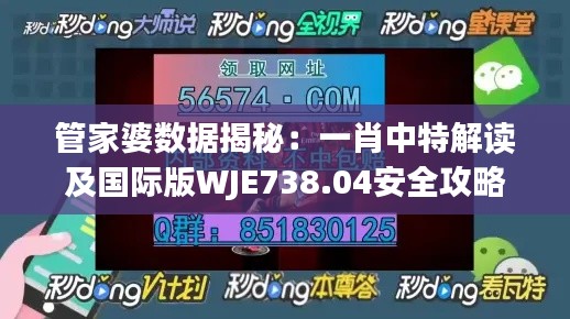 管家婆数据揭秘：一肖中特解读及国际版WJE738.04安全攻略