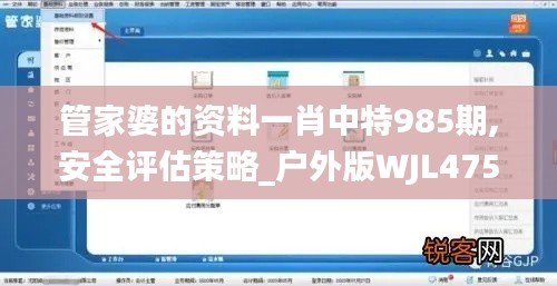 管家婆的资料一肖中特985期,安全评估策略_户外版WJL475.35