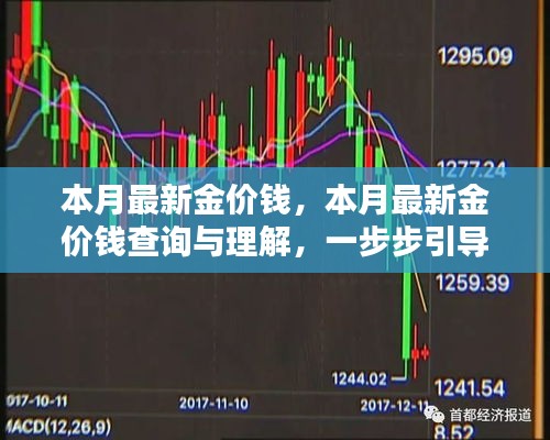 本月最新金价钱详解，查询指南助你成为金价大师！