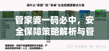 管家婆一码必中，安全保障策略解析与管理版ASB974.79深度剖析