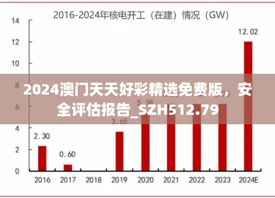 2024澳门天天好彩精选免费版，安全评估报告_SZH512.79